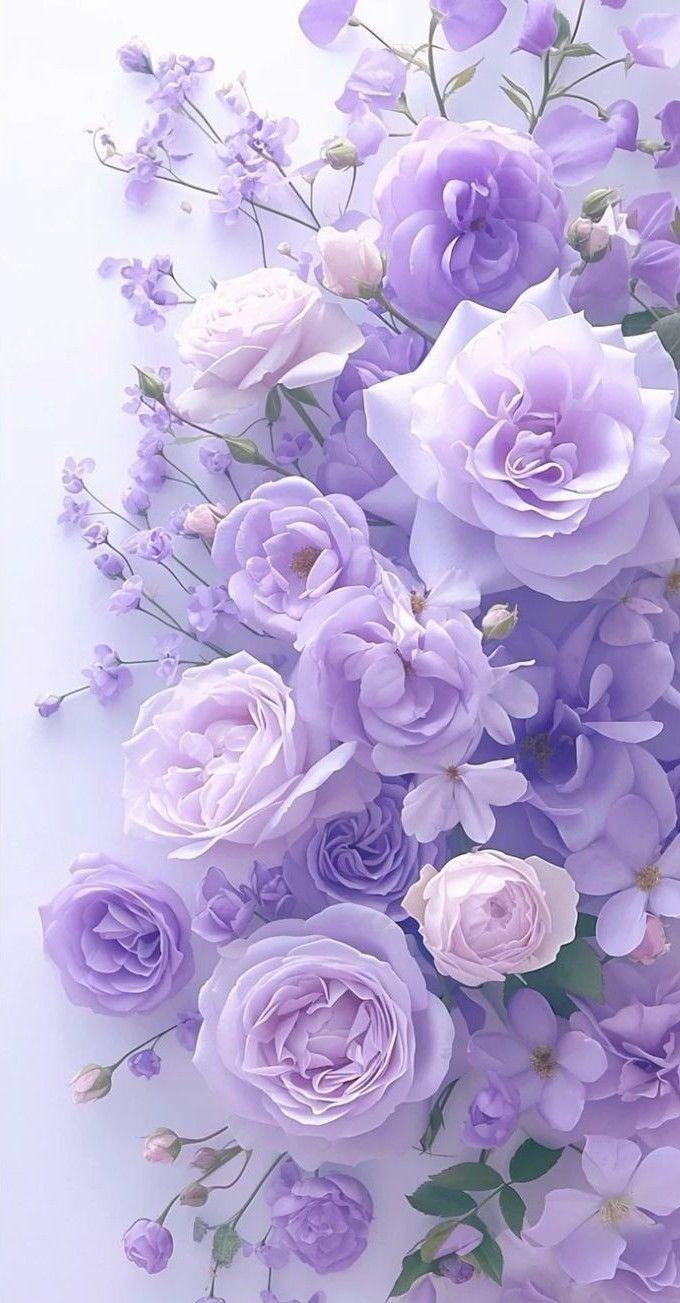 Mystic Twilight Rose Array